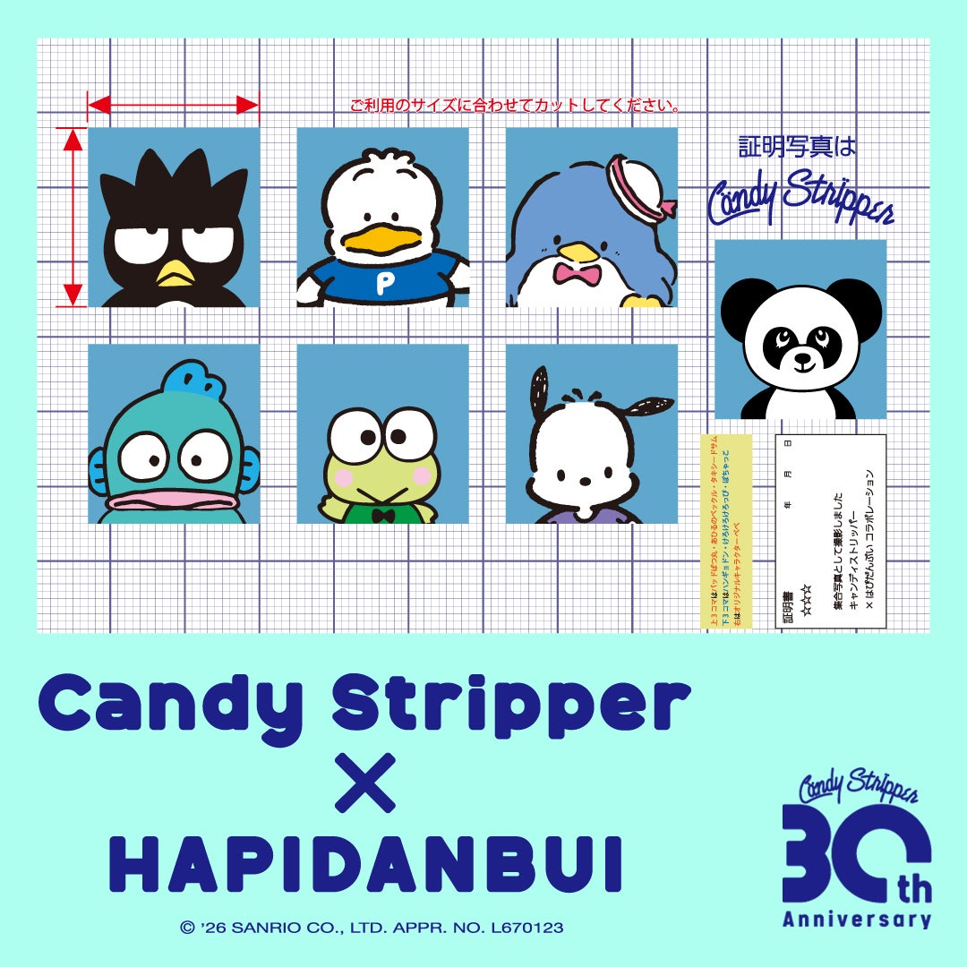 【値下げ】Candy Stripper  ノベルティ COLLABORATION |Candy Stripper（キャンディ ストリッパー
