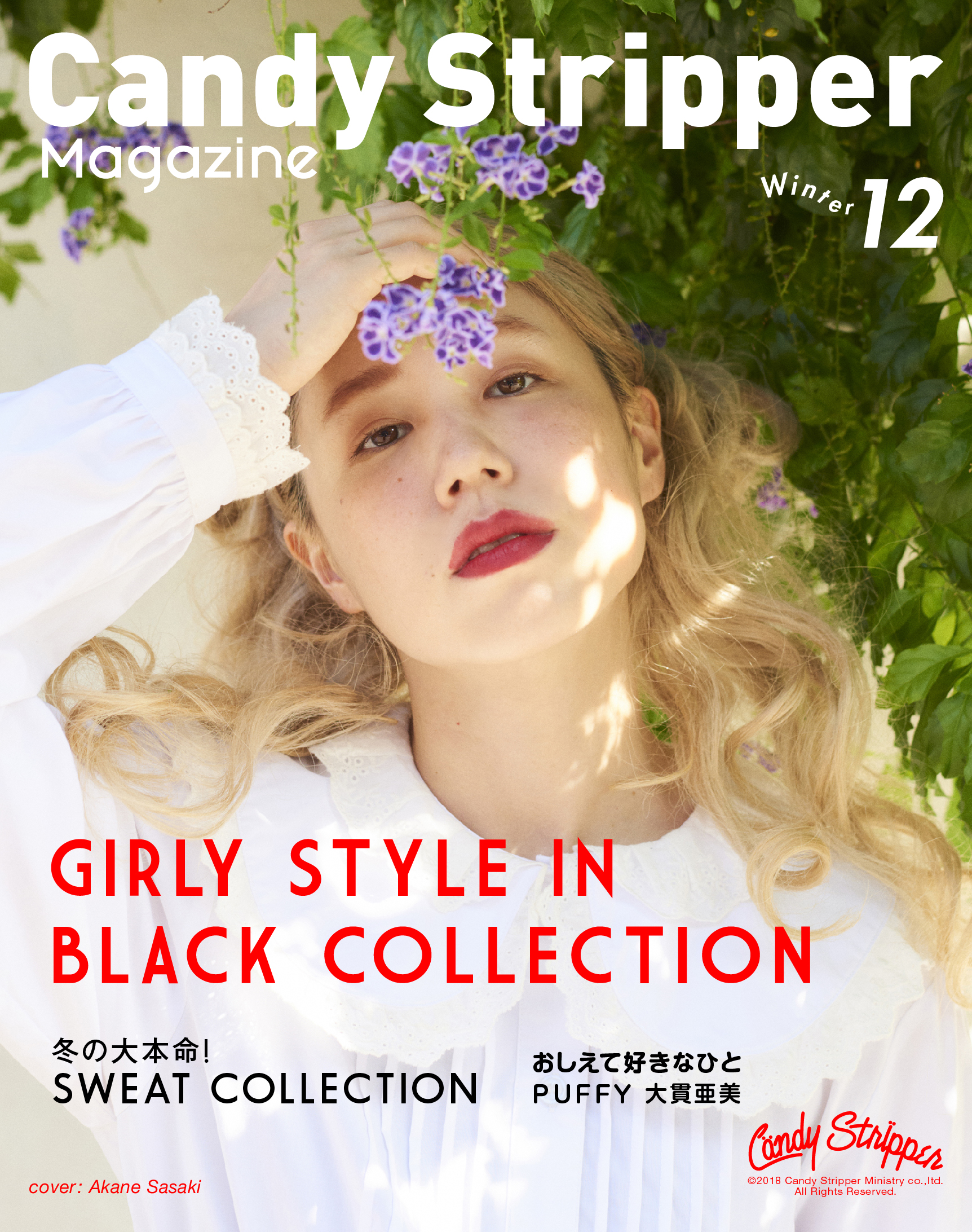 Candy Stripper magazine 2018 Winter 12