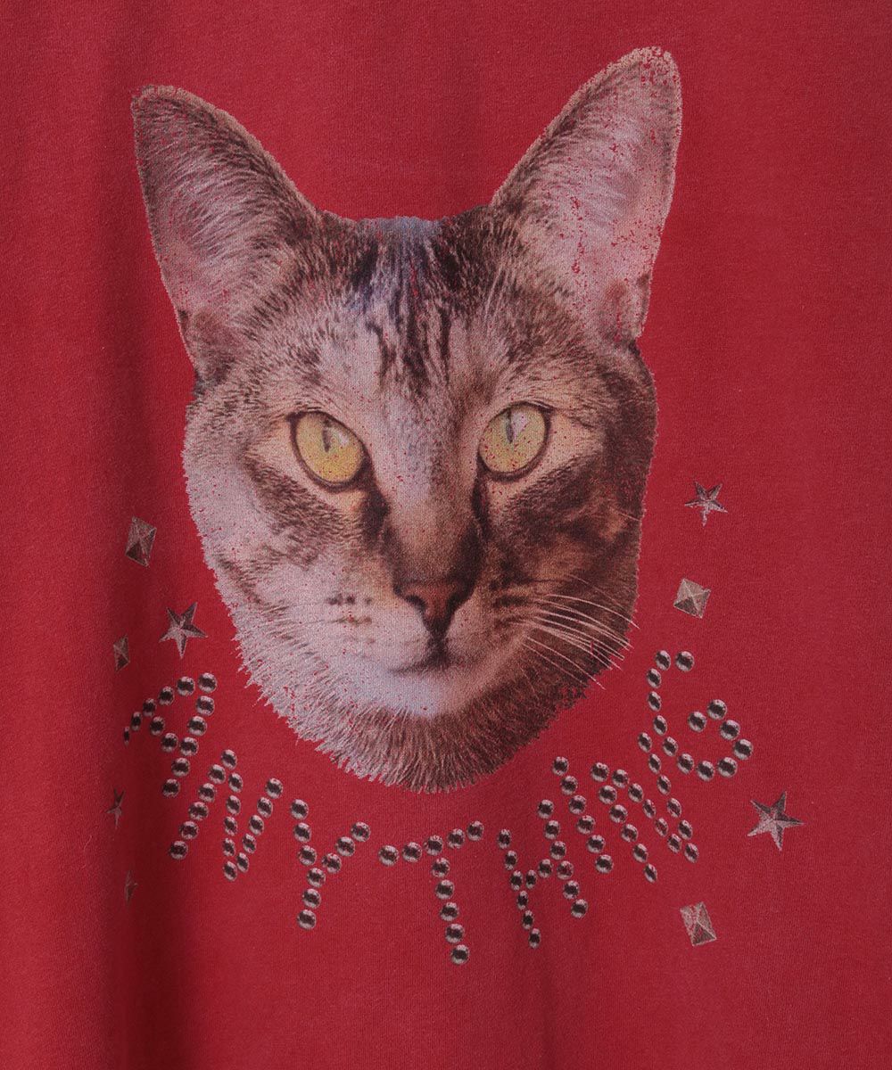 ANYTHING CAT PIGMENT TOPS | Candy Stripper（キャンディ