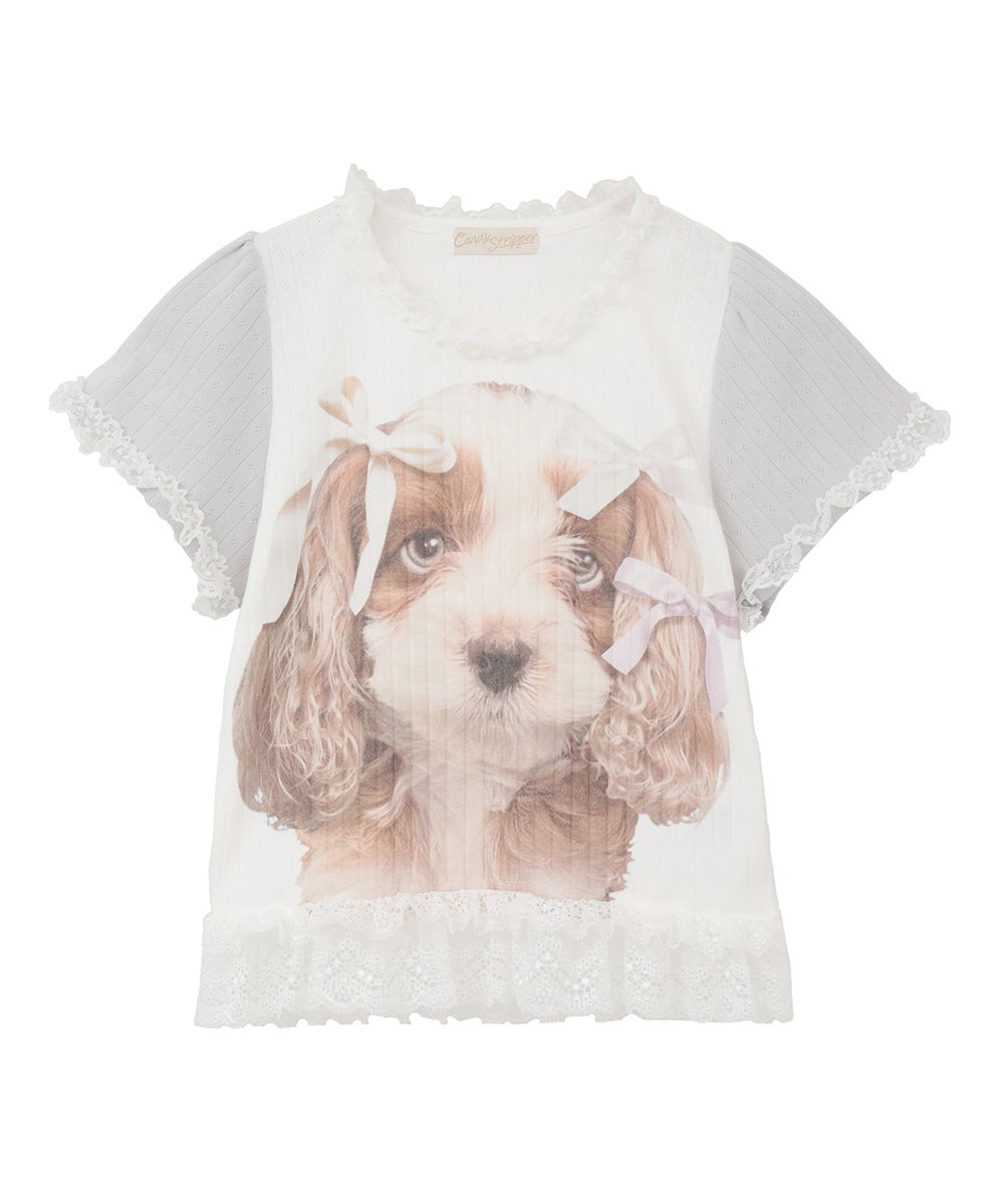 DOG PRINT FRILL TEE | Candy Stripper（キャンディ ストリッパー