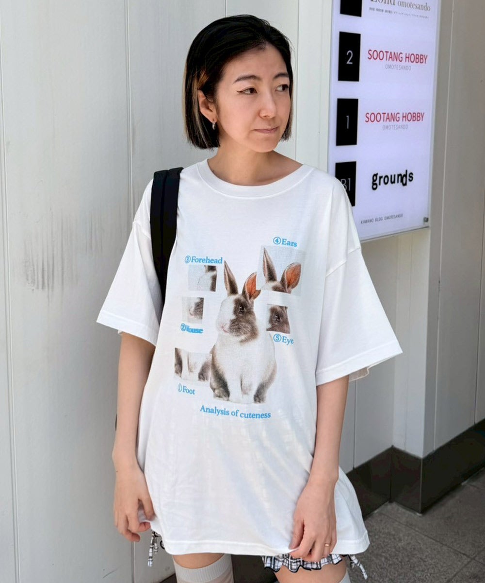 SLEEPY DOG TEE | Candy Stripper（キャンディ ストリッパー