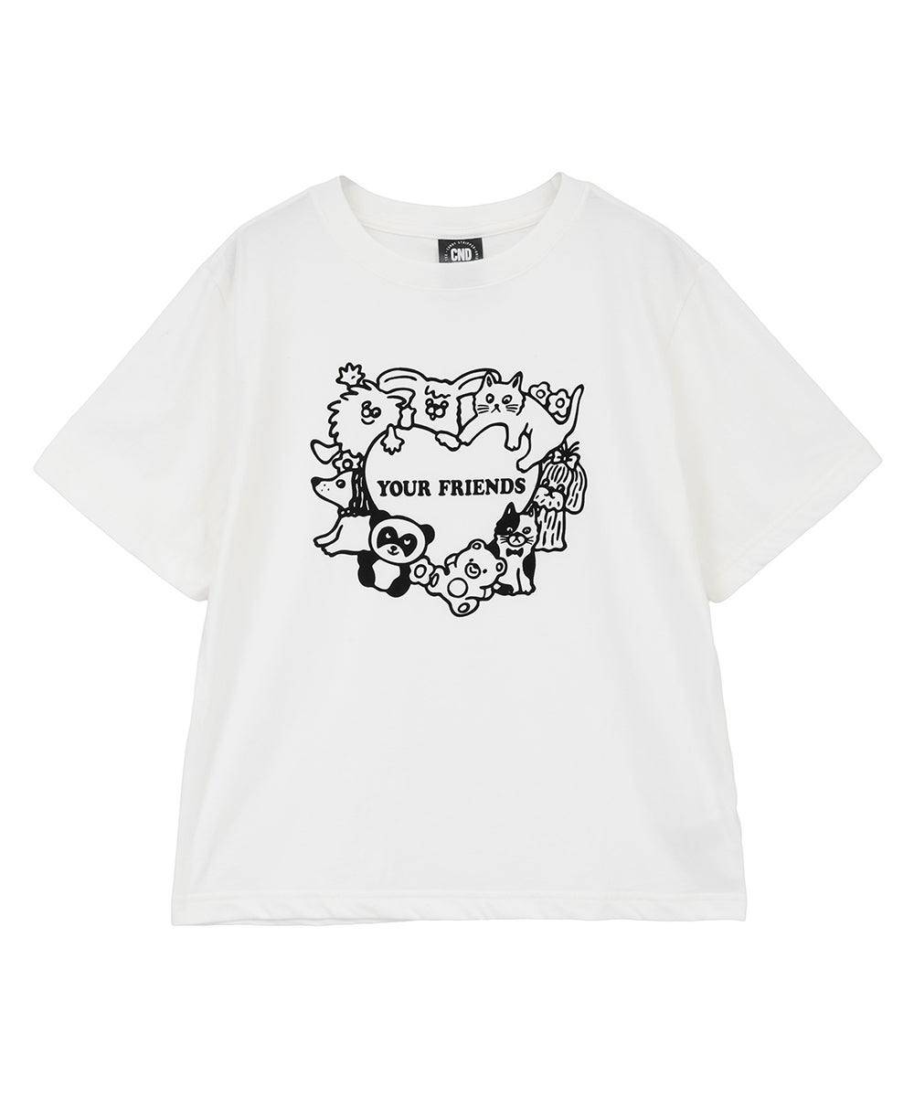 PEPE |Candy Stripper（キャンディ ストリッパー）｜オフィシャル通販
