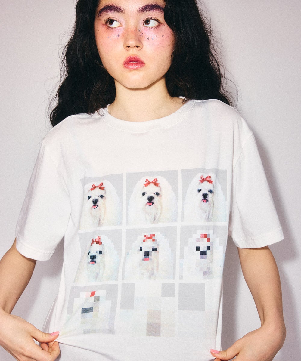T-SHIRT |Candy Stripper（キャンディ ストリッパー）｜オフィシャル