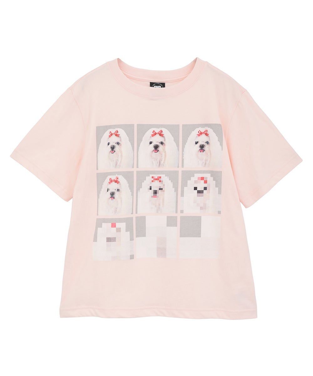 SHIH TZU LOW PIXEL TEE | Candy Stripper（キャンディ ストリッパー