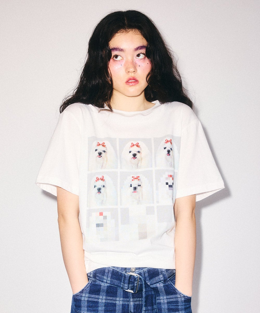 SHIH TZU LOW PIXEL TEE | Candy Stripper（キャンディ ストリッパー