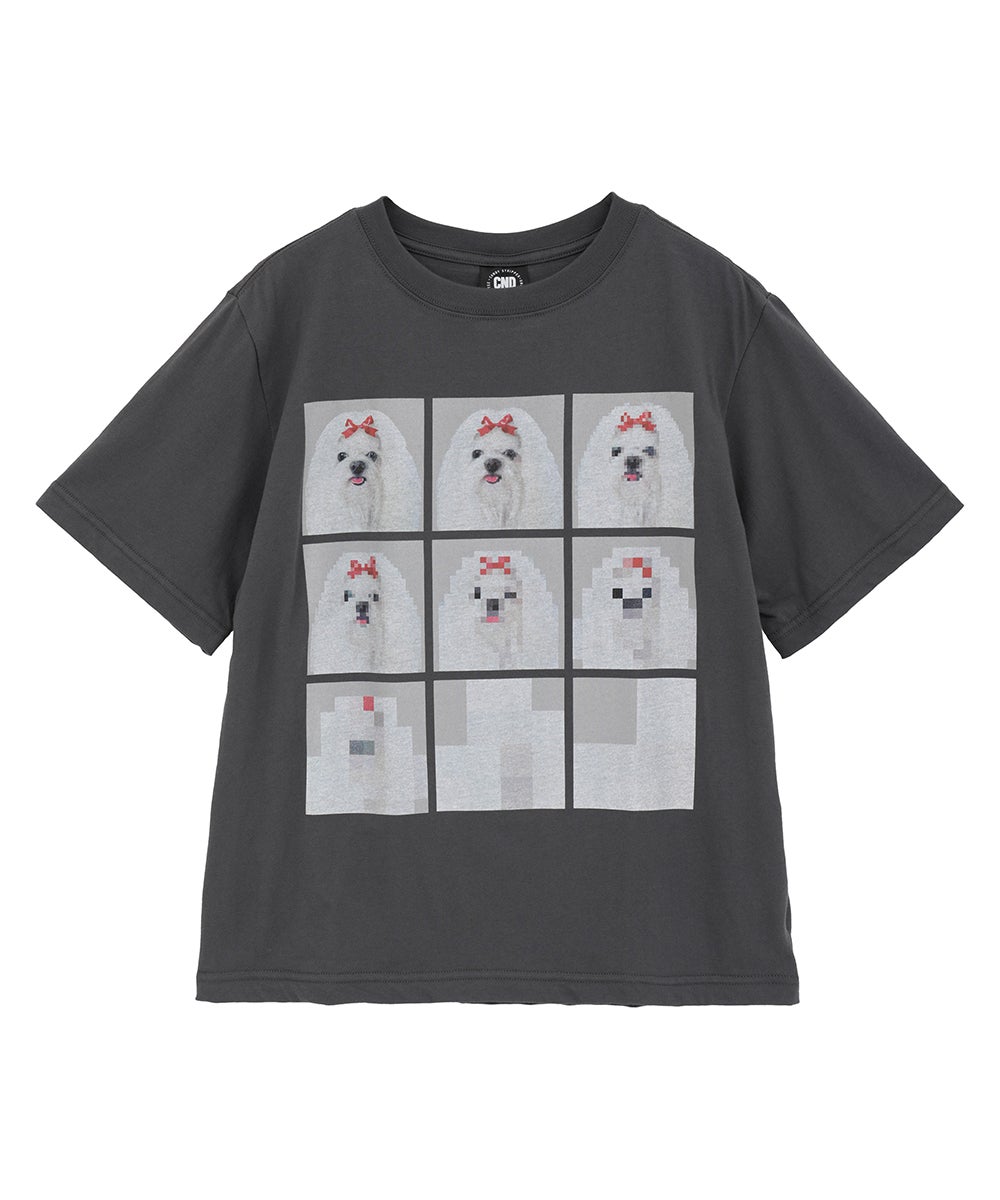 SHIH TZU LOW PIXEL TEE | Candy Stripper（キャンディ ストリッパー