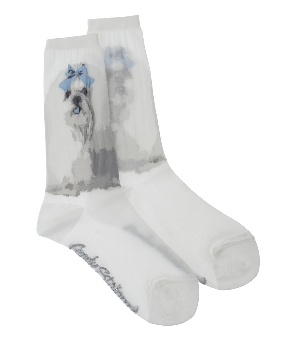 SHIH TZU JACQUARD SOCKS | Candy Stripper（キャンディ ストリッパー